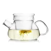Borosilicate Glass Teapot With Infuser Glass Filter Basket - Microwave and Stovetop Safe Glass Tea Pot