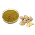 Dried 100% Pure Health Benefits Powdered Ginger