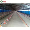 2019 Sale Small Chicken House Automatic Poultry Farm Raising Equipment
