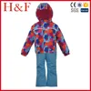 Little Girls and Toddler Snowsuit Ski Jacket and Snow Pants