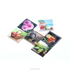 3D lenticular customized die cut plastic Fridge magnet