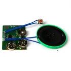 Stock musical sound chip for card music module
