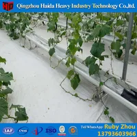 Advanced Hydroponics Agricultural Commercial PCgreenhouse For