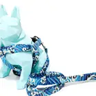 Flower dog leash dog leash and harness designer dog harness