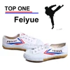 Used martial art top one feiyue canvas shoe