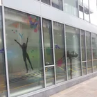 custom printing removable window decoration glass static cling film