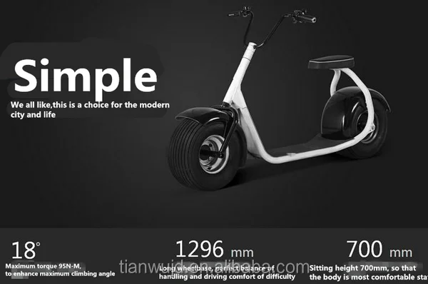 Popular city 2 wheels electric scooter 1000W long range Electric Scooter, Electric motorcycle