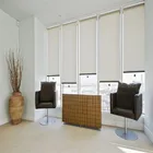 good quality transparent flame retardant fabric spring mechanism roller blinds