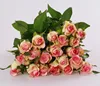 Wholesale Preserved Qingyi Fresh Cut Flowers Red Sleeve Pink All Types of Natural Roses