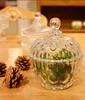beautiful appearance home decoration crystal Glass Candy Jar with lid