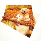 Good quality thin sunglasses microfiber cloth wholesale
