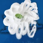 Detergent And Dyeing Use Sodium Sulphate NaSO4 99% Purity 50kg Bag CAS NO 7757-82-6 Sodium Sulphate Anhydrous Price