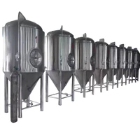 Turnkey 1000L Brewery Equipment Conical Fermentation