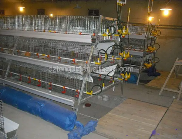 New design bird trap cage with great price