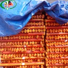 cheap pp tarpaulin roll in orange china factory