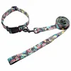 China wholesale customized fashion paper card package dog collar and leash