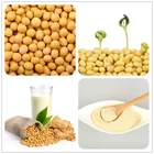 Soy Extract Powder Protein Soya Isoflavone