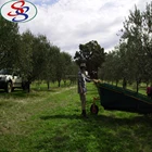 uv plastic mesh mature treated olive harvest cover net