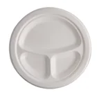 disposable birthday party sugarcane bagasse pulp plate