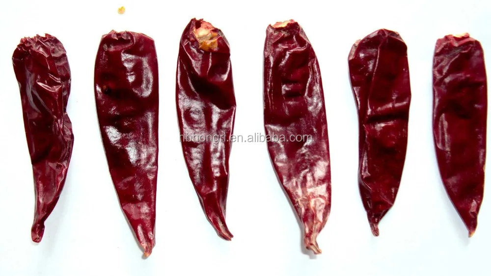 hot spicy chilies american red chili