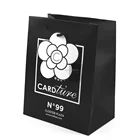 Waterproof Luxury Shopping Custom Logo Printed Garment Paper Bag with Handle