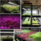 System Diy Rohs Greenhouse Vertical Hydroponics Farm System Kits Diy Led Grow Light Panel