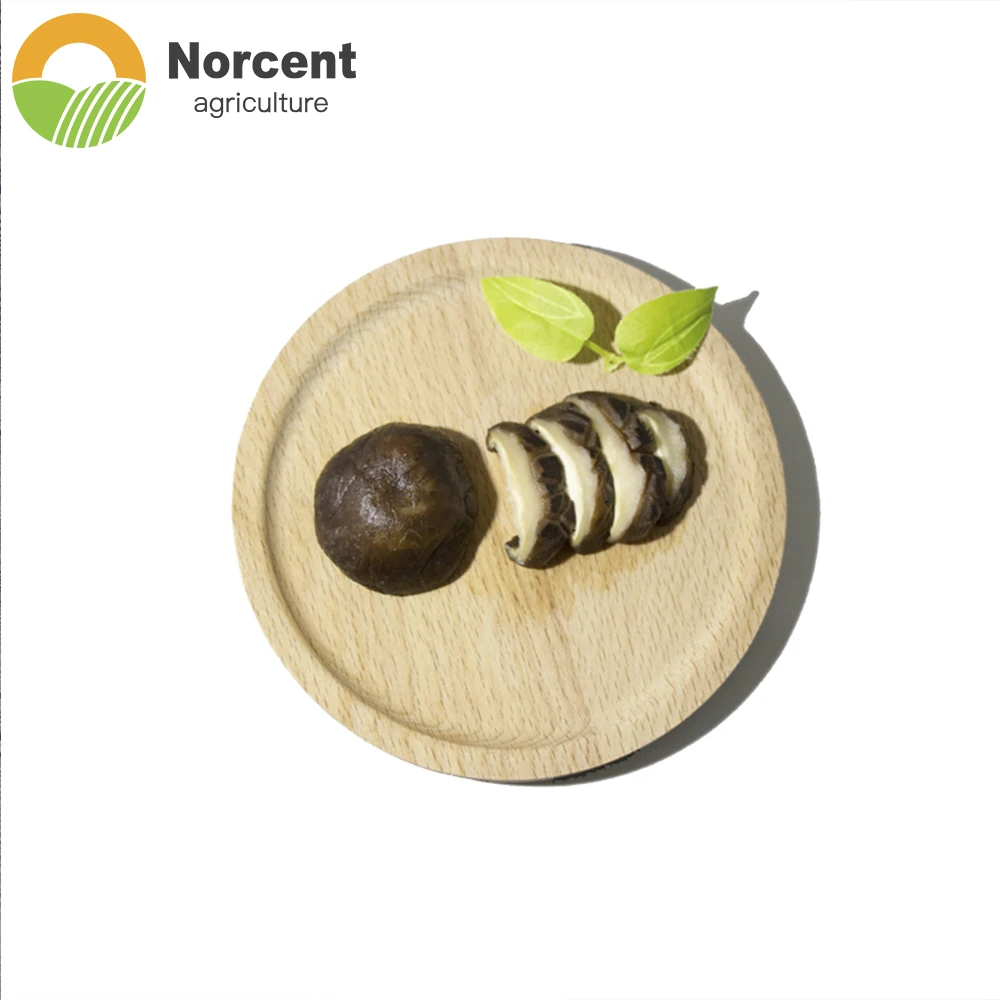 South Korea food taste Green Growing Price Sell Dried Edible Shiitake Mushrooms