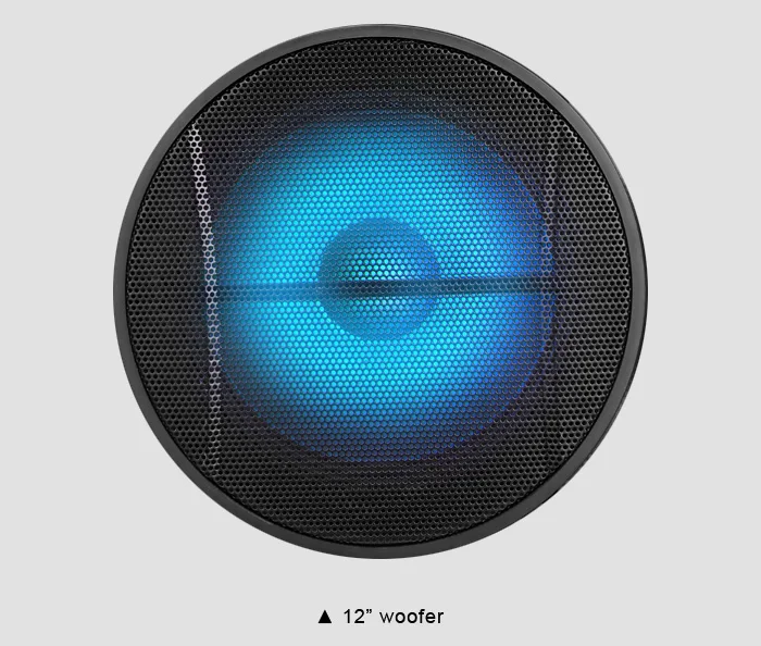 12 Inch Big Power Subwoofer DJ PA Woofer Speakers Outdoor Portable Trolley Speaker For Sale - ANKUX.COM