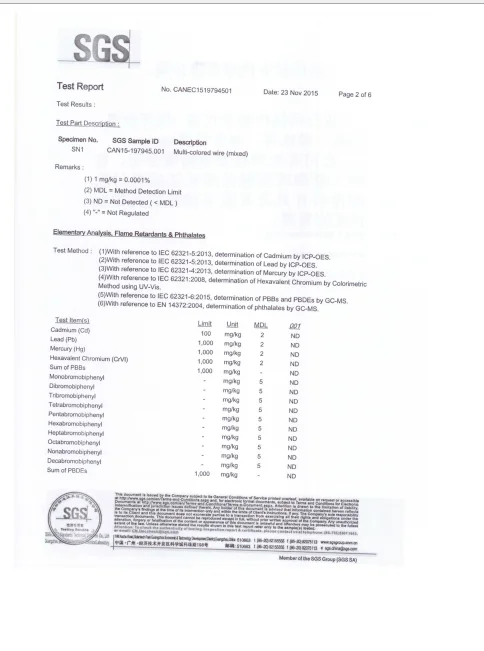 SGS REPORT