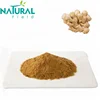 /product-detail/strictly-testing-before-shipping-organic-dried-ginger-powder-60199424138.html