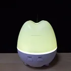 diffuser aroma humidifier natural flower aroma reed diffuser