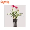 Hot factory sale fake bonsai plants artificial hippeastrum vittatum plastic red flower orchids