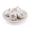 /product-detail/fresh-runhui-normal-white-garlic-price-in-china-62192191805.html