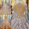 /product-detail/ls38520-long-sleeved-gowns-evening-dress-ball-china-supplier-women-lace-applique-evening-dress-60659719107.html