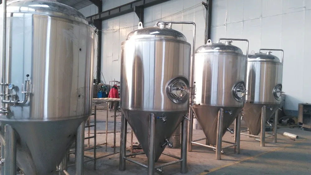 Stainless Steel 1000L/Day Turnkey Plant Micro Craft Beer Brewing Equipment