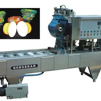 Hongzhan BG 60b Full Automatic Food