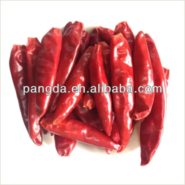 indian dry red chilli