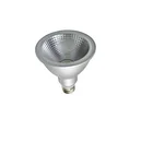 LED house lights waterproof IP65 E27 Dimmable 12W/15W PAR30/PAR38 LED Spot Light Bulb