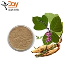 Kudzu Extract Pueraria flower Extract