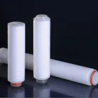 Hydrophobic PTFE 0.05 Micron Industrial Steam Filter Cartridges