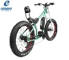 Hot Selling 26 Inch 1000W 48V 17AH Mid Drive Chopper Bike E-bike Electric Bicycle for Adults
