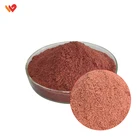 In Stock Natural Fermented 0.2%-1% HPLC Monacolin k Red Yeast Rice Powder