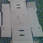 Custom Color Printed Banana Mango Fruit cardboard Box Carton