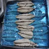 Single clean precooked mackerel loin with EU standard