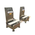 Weight Digital Scale Conveyor Belt Production Line S9048