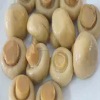 Best canned whole button mushroom 425g