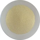 Dehydrated Garlic (Garlic Granules)