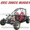 /product-detail/epa-250cc-buggy-popular-433187194.html