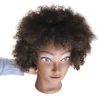 /product-detail/alileader-wholesale-african-female-cheap-mannequin-head-afro-training-mannequin-head-62037315068.html