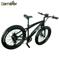 EN 15194 48v 1000w Cheap Factory